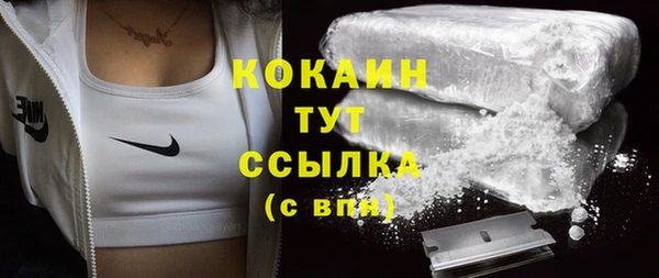 шишки Баксан