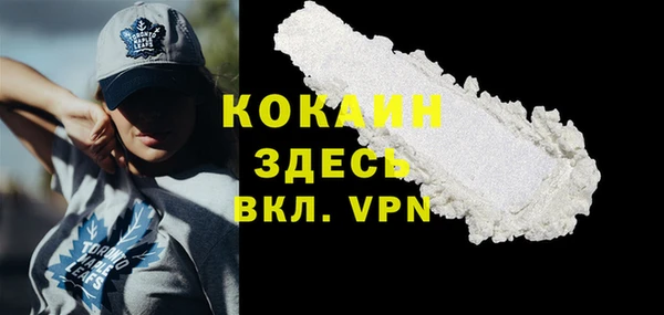 шишки Баксан