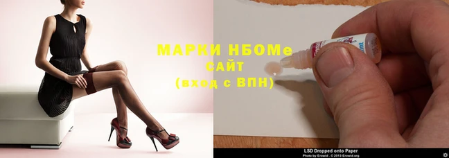 шишки Баксан
