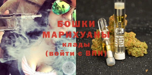 шишки Баксан