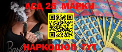 гашик Гатчина