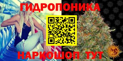 мдма Гай