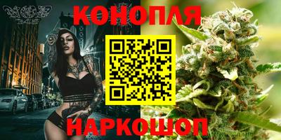 гашик Гатчина