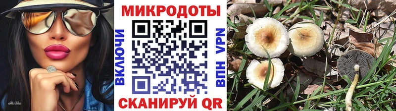 как найти закладки darknet клад Псилоцибиновые грибы Psilocybe Гудермес