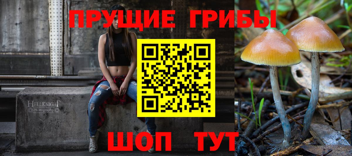 Галлюциногенные грибы прущие грибы Гудермес