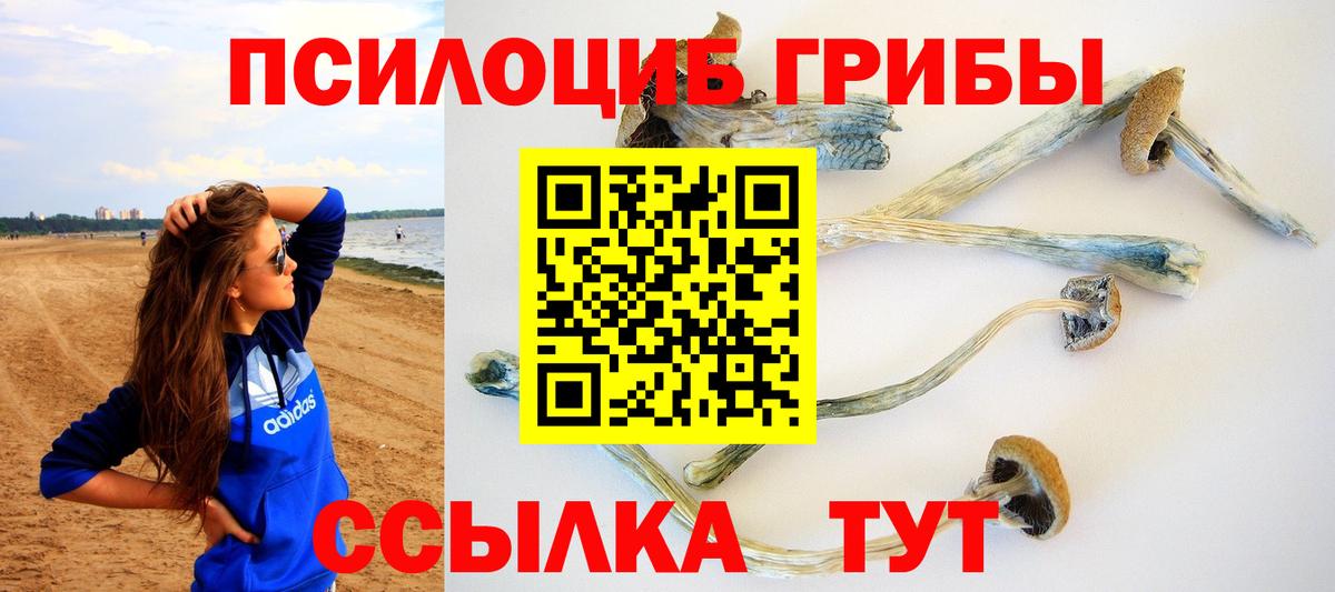 Гудермес  магазин    Вход с VPN  Псилоцибиновые грибы прущие грибы 