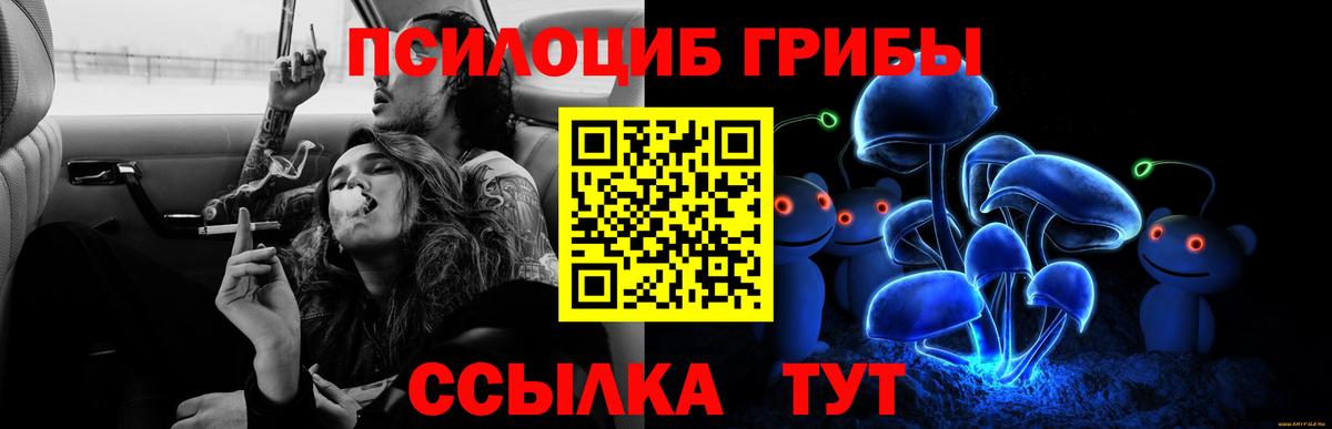 Псилоцибиновые грибы мухоморы  Гудермес 