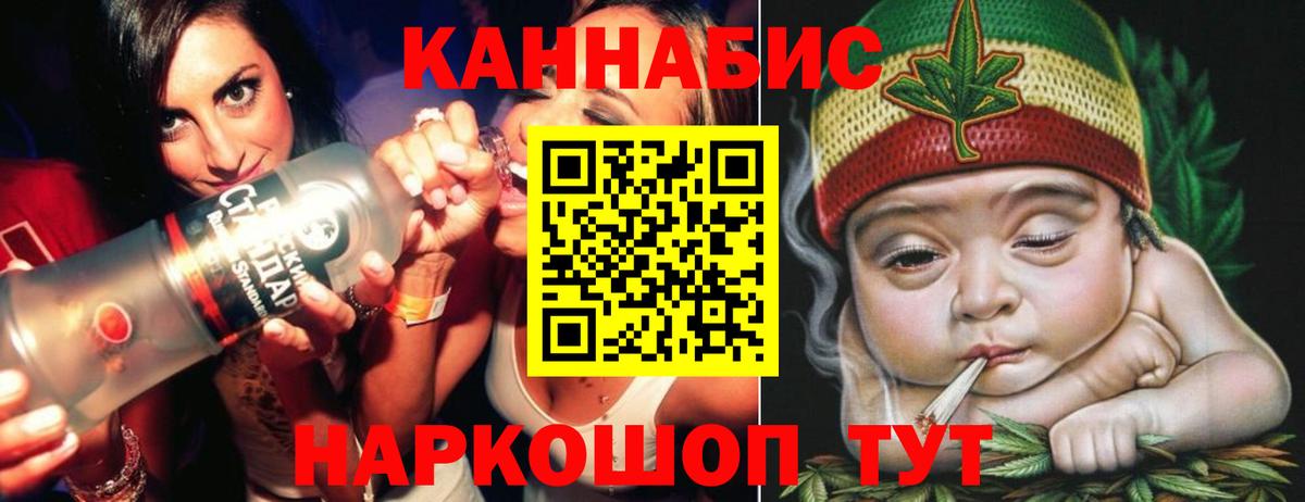 Канабис сатива Гудермес